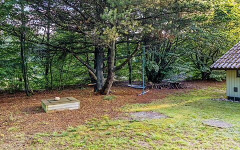 Torhild - 30Km from the Sea: Leaf, Tree, Grass, Branch, Wood, Shrub, Land Lot, Trunk, Groundcover, Garden