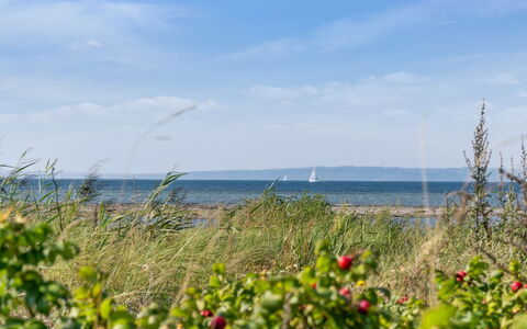 Joella - 75M from the Sea: Roof, House, Home, Cottage, Siding, Estate, Driveway, Garden Buildings, Yard, Shed