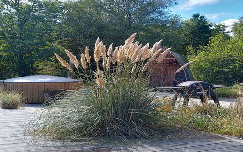 Duco - 780M from the Sea: Shrub, Garden, Landscaping, Backyard