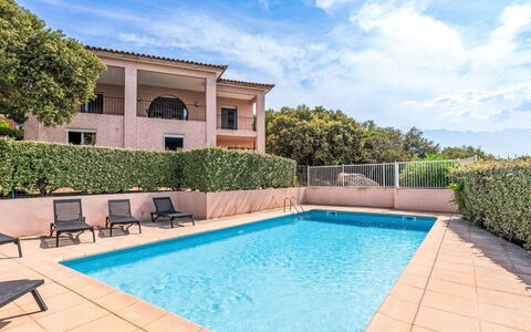 Lumio 650: Water, Sky, Property, Plant, Tree, Swimming Pool, Azure, Shade, Arecales, Leisure