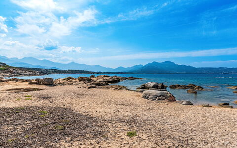 Lumio 650: Water, Sky, Property, Plant, Tree, Swimming Pool, Azure, Shade, Arecales, Leisure