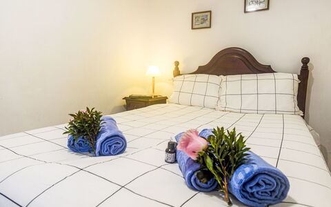 Surfers Inn: Building, Plant, Comfort, Textile, Wood, Interior Design, Flooring, Floor, Bed Frame, Picture Frame