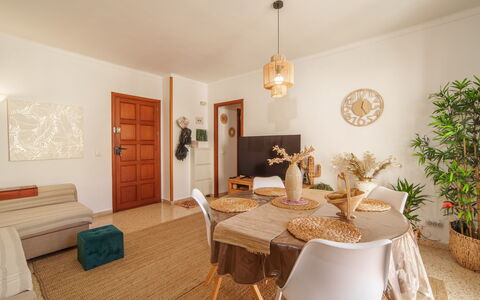 Porto Cristo by the Sea: Table, Furniture, Property, Plant, Wood, Chair, Lighting, Interior Design, Flooring, Flowerpot