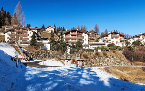 Savognin 140: Tree, House, Residential Area, Home, Winter, Snow, Human Settlement, Freezing, Slope, Village