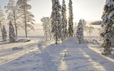 Villa Q - Kuusamo, Northern Ostrobothnia, Finland