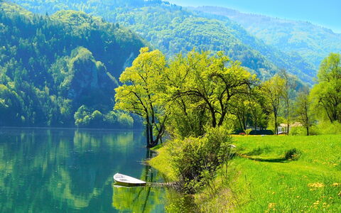 Apartment With Garden, Del Corlo Lake, Belluno: Water, Sky, Plant, Green, Mountain, Azure, Natural Landscape, Tree, Highland, Lake