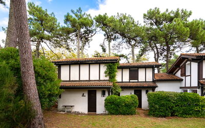 Mimizan 406: Cloud, Plant, Sky, Property, Building, Window, Tree, Land Lot, Natural Landscape, Wood