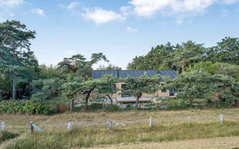 Kaila - 50M from the Sea: Tree, Shrub, Land Lot, Plant Community, Home, Rural Area, Cottage, Garden, Farmhouse