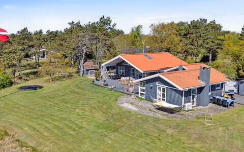 Hening - 50M from the Sea: Grass, Wood, Rural Area, Shrub, Cottage, Roof, Plain, Land Lot, Home, Groundcover