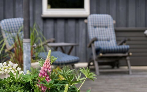 Tyyne - 250M from the Sea: Furniture, Outdoor Furniture, Shrub, Garden, Chair, Flowerpot, Groundcover, Outdoor Table, Backyard, Yard