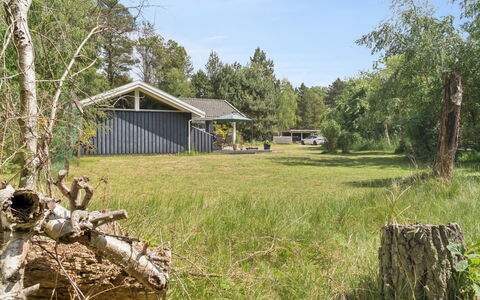 Tyyne - 250M from the Sea: Grass, Tree, House, Cottage, Shrub, Home, Land Lot, Rural Area, Landscape