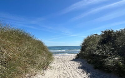 Frido - 500M from the Sea