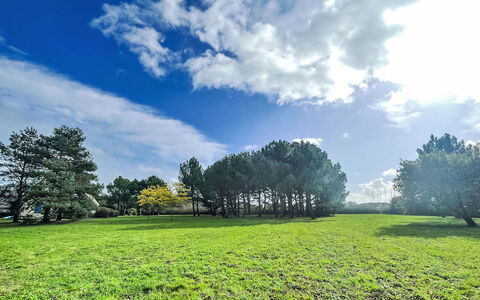 Saint Philibert 163: Cloud, Sky, Plant, Ecoregion, Natural Landscape, Natural Environment, Tree, Land Lot, Sunlight