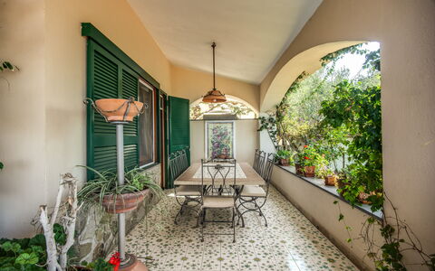 Villa Solaria with Private Pool: Plant, Building, Furniture, Houseplant, Chair, Flowerpot, Window, Picture Frame, Couch, Lighting