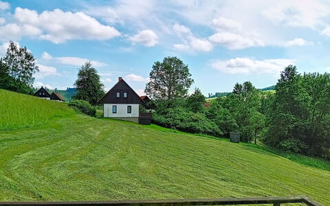 Green Valley Park Stárkov 5: Wood, Garden, Backyard, Land Lot, Home, Roof, Shade, Deck, Hardwood, Yard