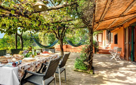 Villa Sorrentina With Panoramic Terrace: Furniture, Plant, Building, Table, Tree, Window, Chair, Shade, Outdoor Furniture, Real Estate