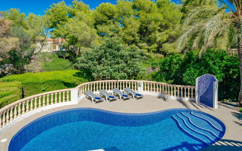 La Selva: Sky, Plant, Water, Property, Tree, Azure, Nature, Blue, Swimming Pool, Fence
