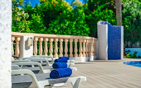 La Selva: Furniture, Plant, Azure, Blue, Outdoor Furniture, Wood, Tree, Leisure, Armrest, Shade