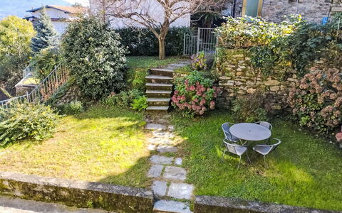 Delle Ortensie: Plant, Property, Tree, Building, Road Surface, Vegetation, Land Lot, Grass, Window, Natural Landscape