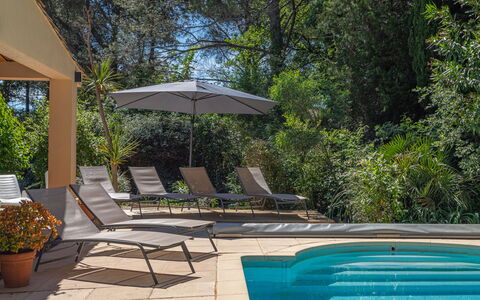 Les Mimosas: Plant, Water, Property, Furniture, Outdoor Furniture, Shade, Flowerpot, Tree, Swimming Pool, Umbrella