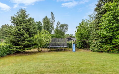 Diuri - 30Km from the Sea: Tree, Shrub, Land Lot, Garden, Shade, Lawn, Park, Landscaping, Evergreen, Yard