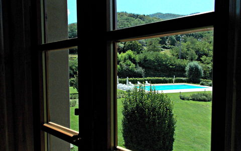 Residence Marino: Window, Tree, House, Glass, Home, Interior Design, Tints And Shades, Shade, Grass, Room