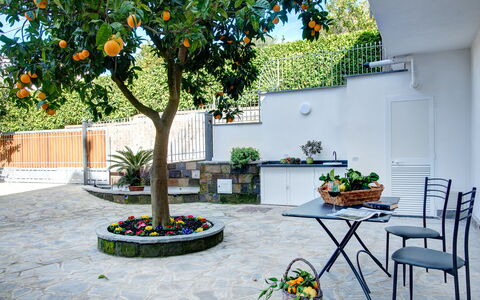 Clementine Country House: Plant, Flower, Table, Flowerpot, Houseplant, Tree, Building