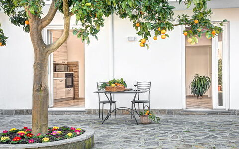 Clementine Country House: Plant, Property, Building, Furniture, Table, Flowerpot, Leaf, Road Surface, Architecture, Tree