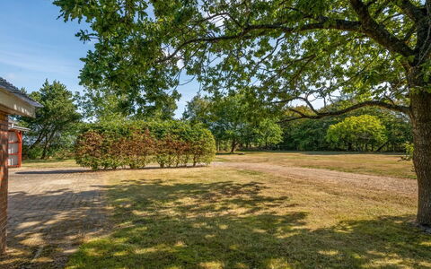 Agla - 2.5Km from the Sea: Blue, Daytime, Tree, Branch, Leaf, Natural Environment, Nature, Plain, Landscape, Grassland