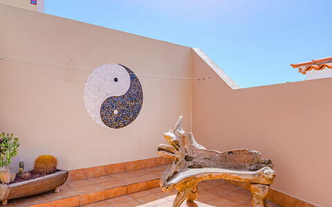 Mila Moon: Plant, Flowerpot, Sky, Art, Wood, Building, Wall, Fawn, Houseplant, Landscape