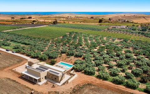 Cavial: Sky, Plant, Property, Plant Community, Flower, Land Lot, Tree, Natural Landscape, Agriculture, Landscape