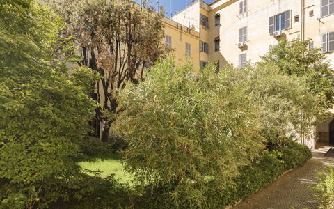 Marsicum: Plant, Building, Window, Sky, Branch, Vegetation, Sunlight, Tree, Shrub, Groundcover