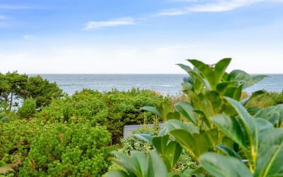 Kaleva - 100M from the Sea