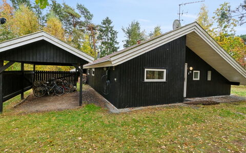 Aimo - 300M from the Sea: Vegetation, Shrub, Spring, Cottage, Garden, Shade, Backyard, Yard, Chair