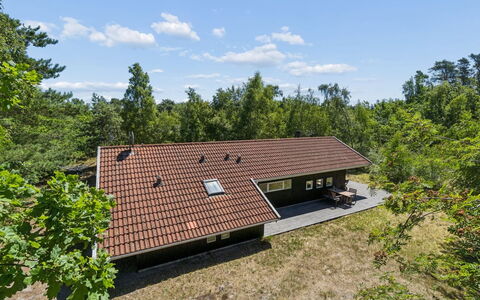 Aimo - 300M from the Sea: Vegetation, Shrub, Spring, Cottage, Garden, Shade, Backyard, Yard, Chair