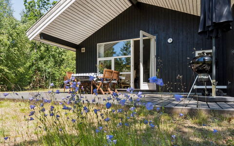 Aimo - 300M from the Sea: Vegetation, Shrub, Spring, Cottage, Garden, Shade, Backyard, Yard, Chair