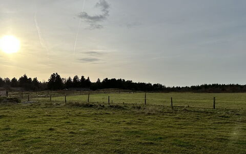 Sönke - 4Km from the Sea: Sky, Grass, Cloud, Grassland, Horizon, Natural Landscape, Plain, Field, Ecoregion, Pasture