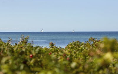 Andy - 150M from the Sea