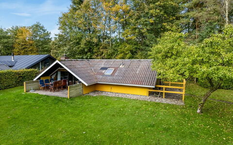 Amila - 30Km from the Sea: Cottage, Roof, Lawn, Farmhouse, Garden, Estate, Garden Buildings, Yard, Shade, Landscaping