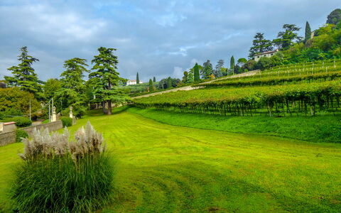 Il Vigneto, Verona, Pool, Wifi: Cloud, Sky, Plant, Green, Natural Landscape, Tree, Land Lot, Highland, Agriculture, Plain