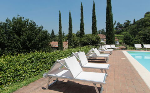 Il Vigneto, Verona, Pool, Wifi: Outdoor Furniture, Sunlounger, Swimming Pool, Shade, Garden, Resort, Landscaping, Courtyard, Eco Hotel, Chaise Longue