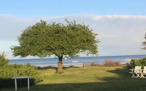 Viveke - 10M from the Sea: Wood, Home, Porch, Deck, Hardwood, Roof, Wood Stain, Wood Flooring, Eco Hotel