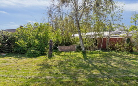 Edgar - 300M from the Sea: Grass, Green, Leaf, Vegetation, Shrub, Garden, Land Lot, Rural Area