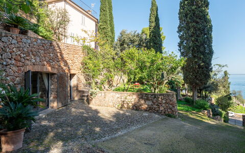 Il Faro: Shrub, Garden, Stone Wall, Landscaping, Evergreen