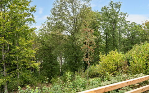 Gaslunda Tvåan: Plant, Sky, Table, Cloud, Furniture, Chair, Tree, Shade, Natural Landscape, Outdoor Furniture