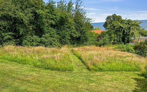 Ågot - 350M from the Sea: Grass, Green, Leaf, Vegetation, Shrub, Grassland, Plant Community, Land Lot, Groundcover