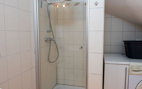 Norden 480: Plumbing Fixture, Bathroom, Flooring, Floor, Interior Design, Plumbing, Tap, Sink, Shower, Room