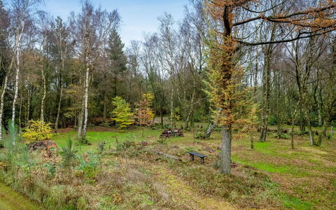 Marthine - 650M to the Fjord: Flooring, Plumbing Fixture, Floor, Interior Design, Bathroom, Toilet, Plumbing, Sink, Bathroom Cabinet, Tap