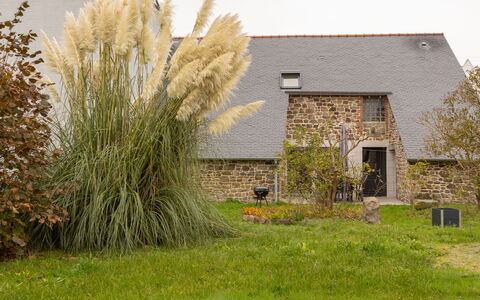 Tiegezh: Plant, Building, Natural Landscape, Vegetation, Land Lot, Grass, Terrestrial Plant, Rural Area, Landscape, Grassland