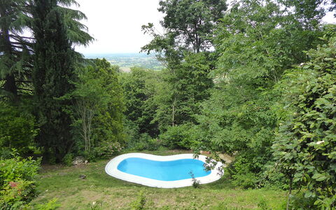 Casa Delle Eriche, Colli Euganei, Pool, Wifi: Garden, Shade, Lawn, Backyard, Landscaping, Swimming Pool, Yard, Woodland, Park, Evergreen